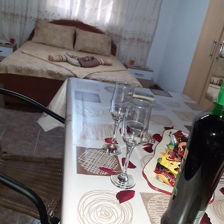 Studio-Apartman Milena 2 Подгориця Екстер'єр фото
